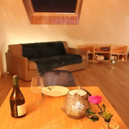 De Charme En Plein Centre Lejlighed *